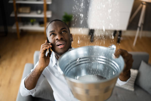 Best Basement water damage restoration  in Wilton, CA
