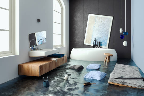 Best Water damage mitigation services  in Wilton, CA