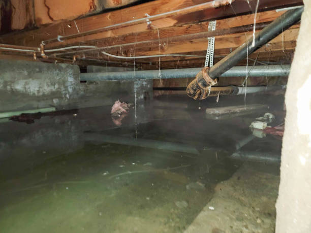 Best 24/7 water damage repair  in Wilton, CA