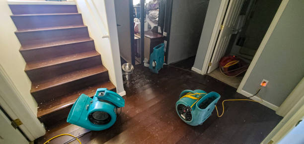 Best Flood damage cleanup  in Wilton, CA