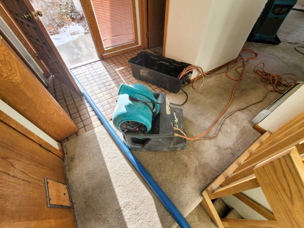 Best Water damage restoration cost  in Wilton, CA