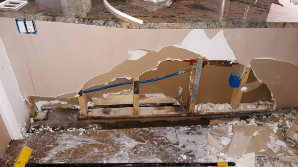 Best Professional water damage repair  in Wilton, CA