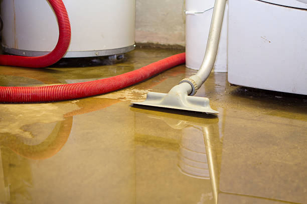 Best Water damage restoration process  in Wilton, CA