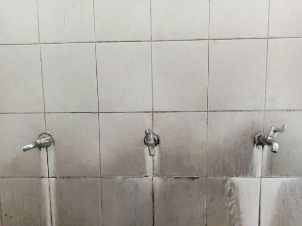 Best Flooded house restoration  in Wilton, CA