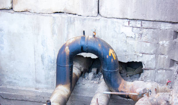 Best Water damage contractors near me  in Wilton, CA