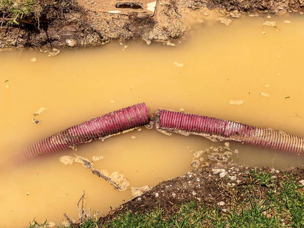 Best Basement water damage restoration  in Wilton, CA