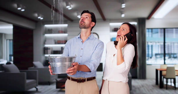 Best Mold removal after water damage  in Wilton, CA